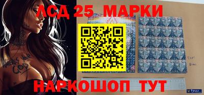 прущие грибы Бердск