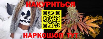 прущие грибы Бердск