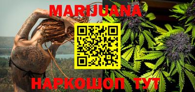прущие грибы Бердск