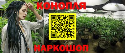 прущие грибы Бердск