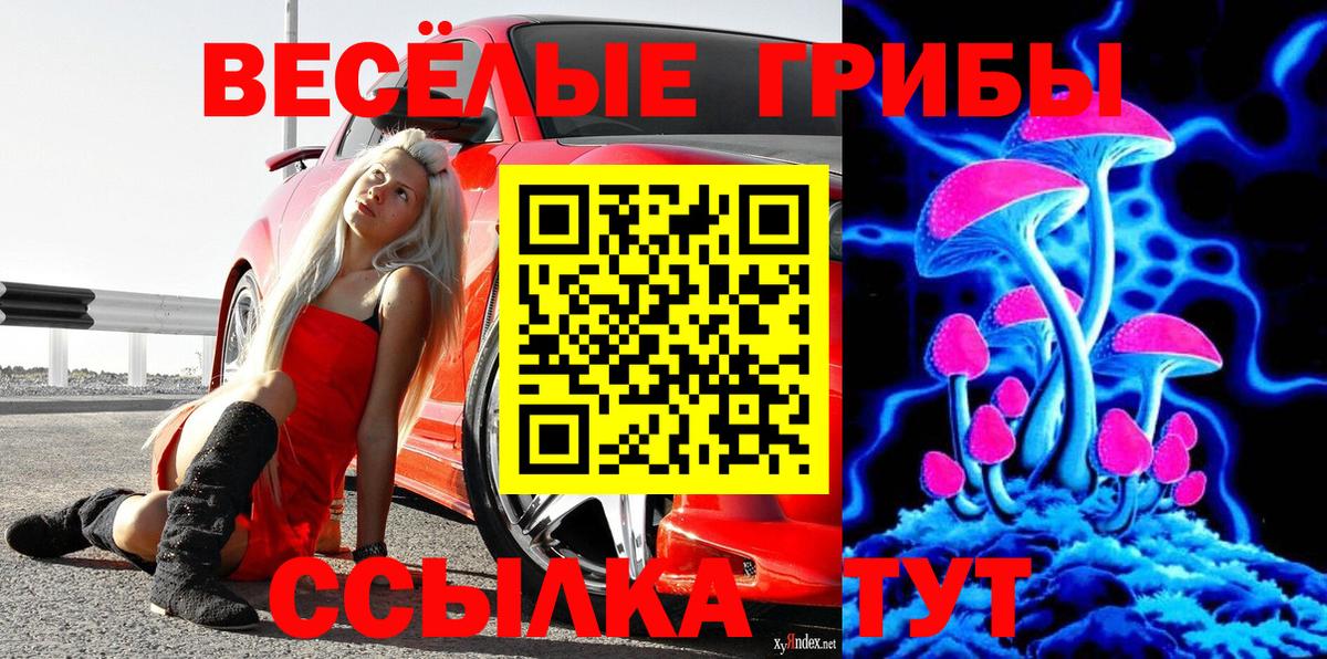 Галлюциногенные грибы Psilocybe  Вход с VPN  Барнаул 